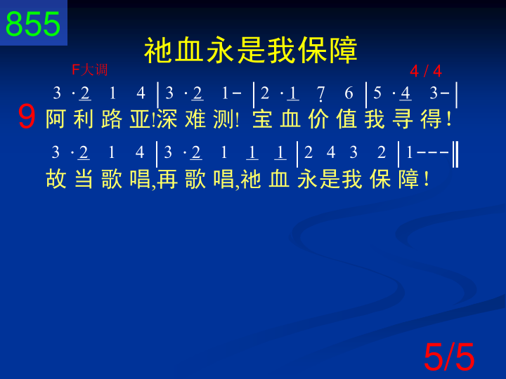 第5页