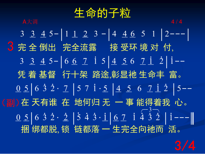 第3页